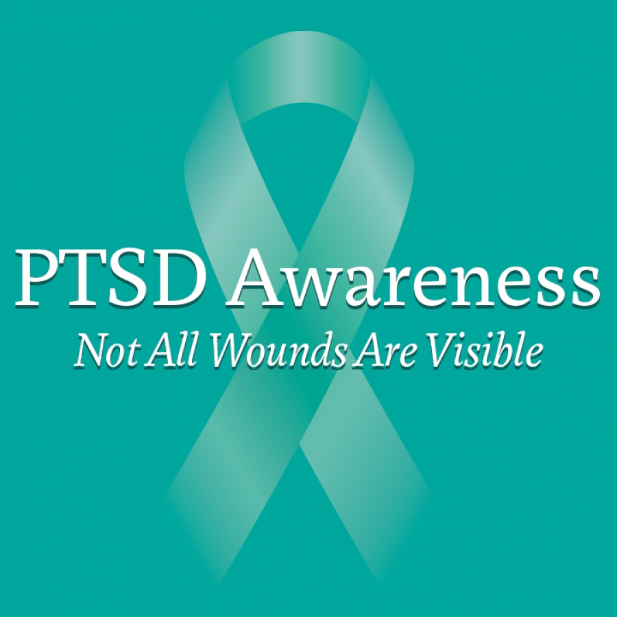 PTSD Awareness Day & July 4th – Long Way Home